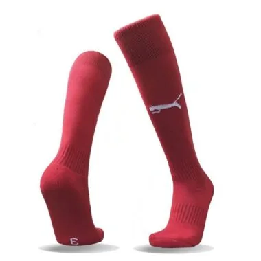 Official version of LOGO socks
