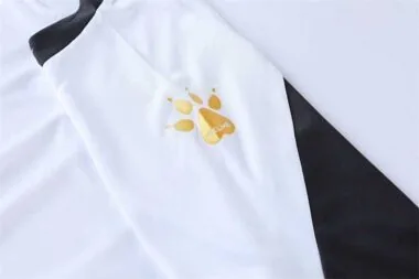 1004卡尔美足球训练服