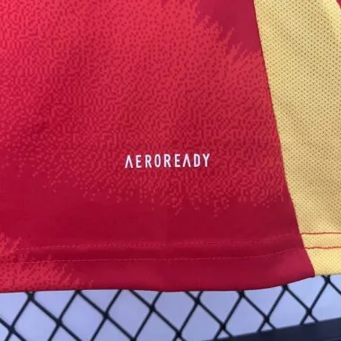 2024 Spain home red Jersey