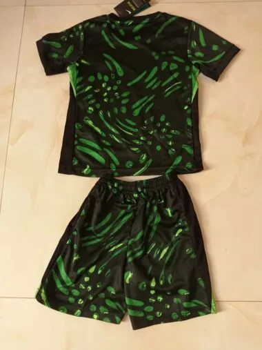 24-25 nigeria home kid kit