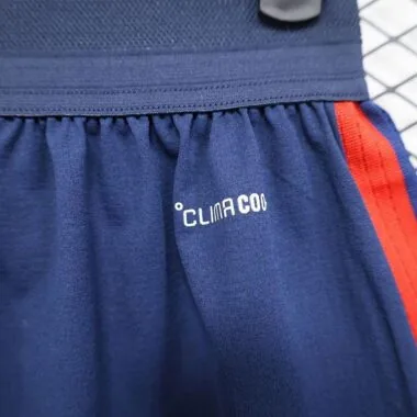 2026 Spain blue player version shorts