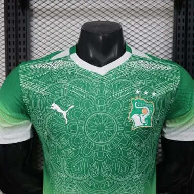 Cote d Ivoire 2026 World Cup Special Edition Green Jersey Player Version (S-XXL)