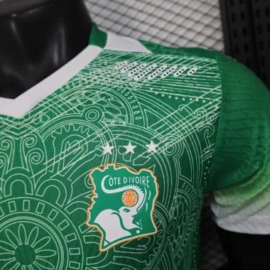 Cote d Ivoire 2026 World Cup Special Edition Green Jersey Player Version (S-XXL)