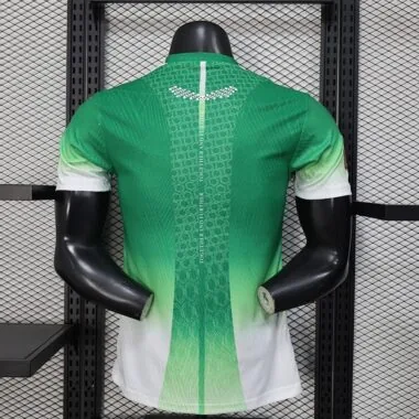Cote d Ivoire 2026 World Cup Special Edition Green Jersey Player Version (S-XXL)