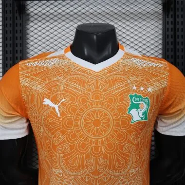 Cote d Ivoire 2026 World Cup Special Edition Orange Jersey Player Version (S-XXL)