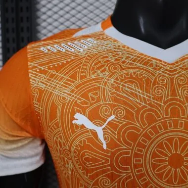 Cote d Ivoire 2026 World Cup Special Edition Orange Jersey Player Version (S-XXL)