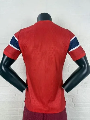 Mens Norway 2026 World Cup home player version Jersey