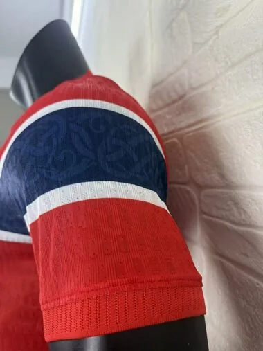 Mens Norway 2026 World Cup home player version Jersey