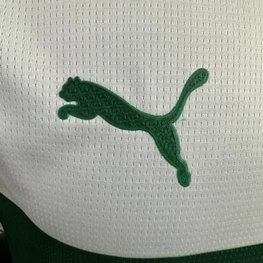 Palmeiras 2025/26 Special Edition Player Edition (S-2XL)
