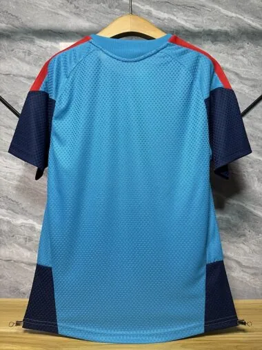 Spain 2026 Sky Blue Training Player Version jersey
