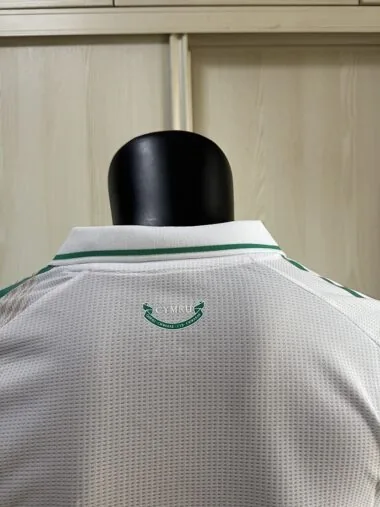 Wales 2026 World Cup Away Player Version Jersey (S-2XL)