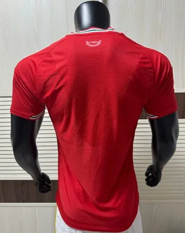 Wales 2026 World Cup Home Player Version Jersey (S-2XL)
