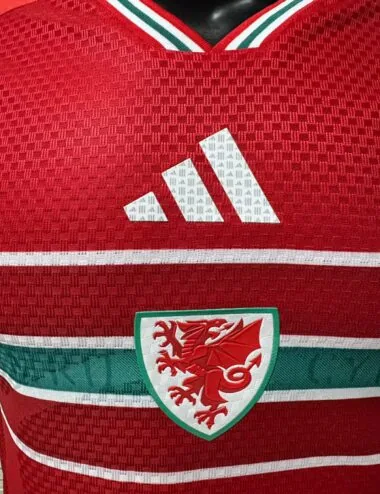 Wales 2026 World Cup Home Player Version Jersey (S-2XL)