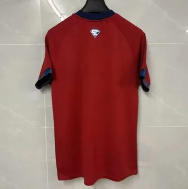 25-26 Bahia red Jersey