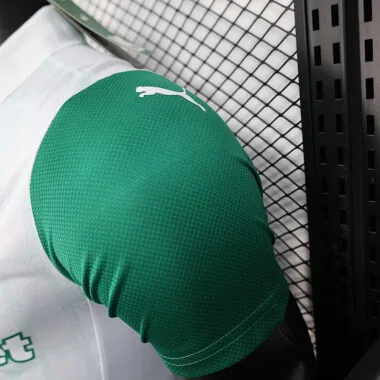 25/26 Palmeiras away all sponsors Player Version