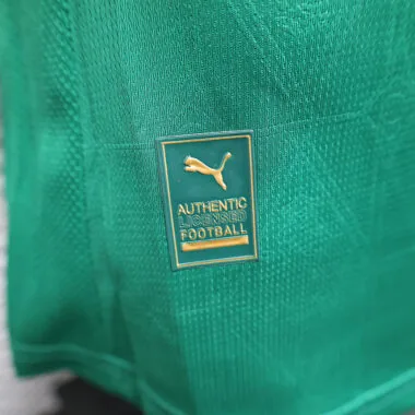 25/26 Palmeiras home all sponsors Player Version