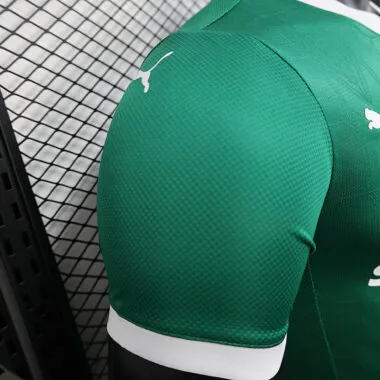 25/26 Palmeiras home all sponsors Player Version