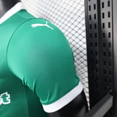 25/26 Palmeiras home all sponsors Player Version