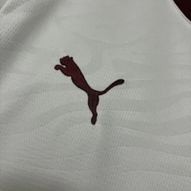 Fluminense 2026/27 Away Soccer Jersey (S-4XL)