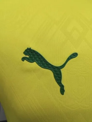 Palmeiras 2025/26 Terza divisa da trasferta, versione da giocatore (taglie S-2XL)