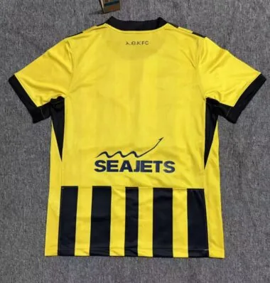 25-26 AEK Athens home Jersey