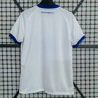 25-26 Dinamo Zagreb away Jersey