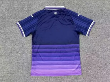 R.S.C. Anderlecht 2025/26 Home Jersey (S-2XL)
