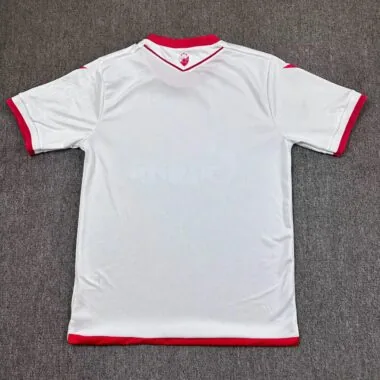 Red Star Belgrade 2025/26 Third Away Soccer Jersey