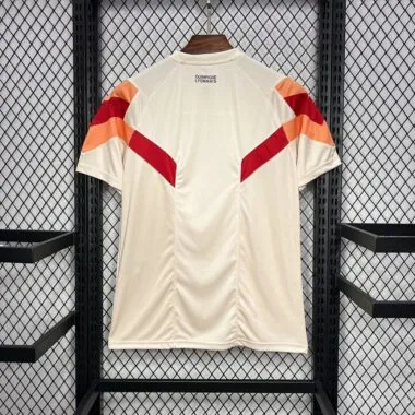24-25 Olympique Lyonnais Special Edition Jersey (S-XXL)
