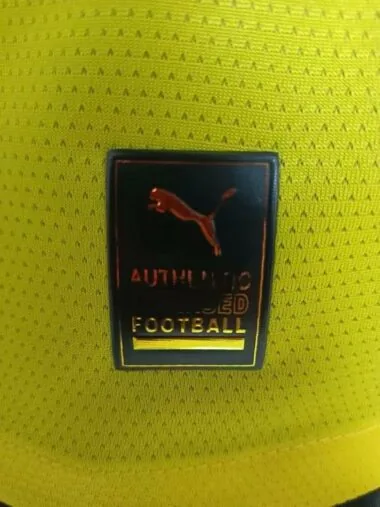 24-25 Dortmund cup version Player version (S-XXL)