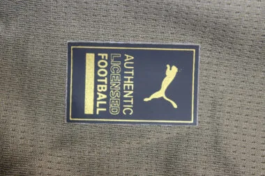 24-25 Dortmund dark green goalkeeper jersey