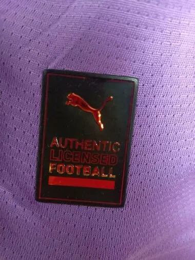 25-26 Dortmund purple player version jersey