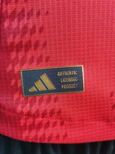 24-25 Bayern red player version jersey