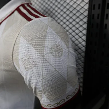 25-26 Bayern special player version jersey