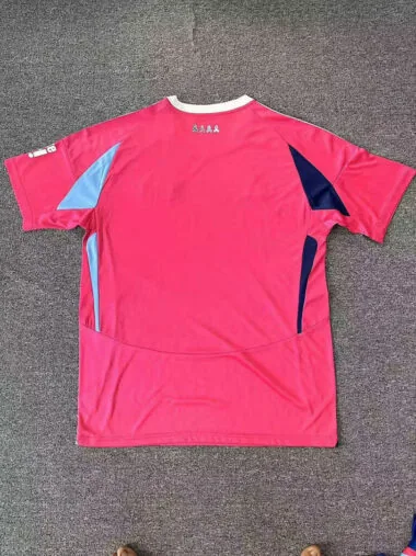 24-25 Schalke 04 Pink Special Jersey