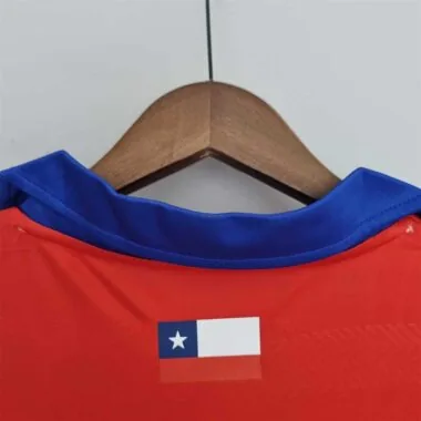 2014 Chile home
