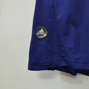 2010 France home