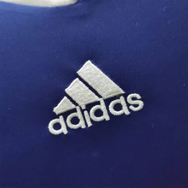2010 France home