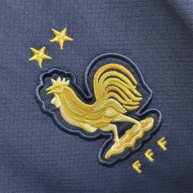 2022 France home