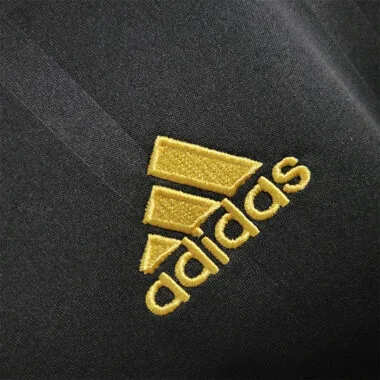 2010 Germany away