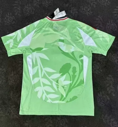 25-26 Italy green jersey