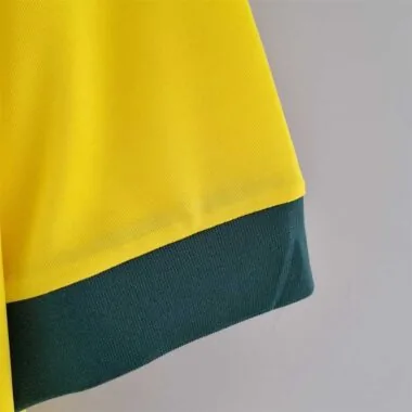 1970 Brazil home
