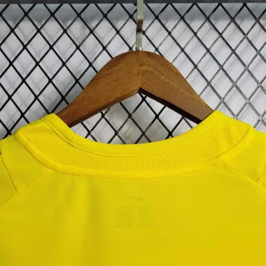2002 Brazil home
