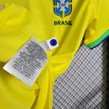 2022 Brazil home