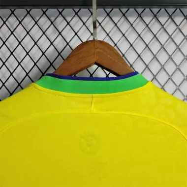 2022 Brazil home