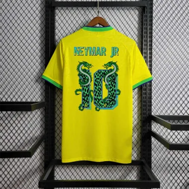 2022 Brazil home