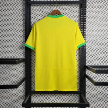 2023 Brazil home