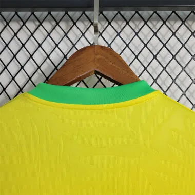 2023 Brazil home