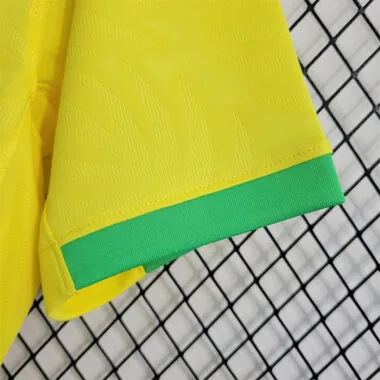 2023 Brazil home