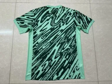 24-25 Brazil green training suit